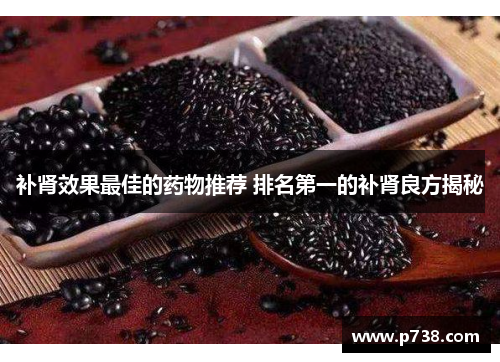 补肾效果最佳的药物推荐 排名第一的补肾良方揭秘